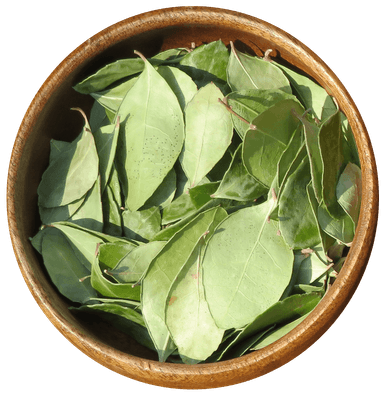 FEUILLE DE THÉ DES BOIS