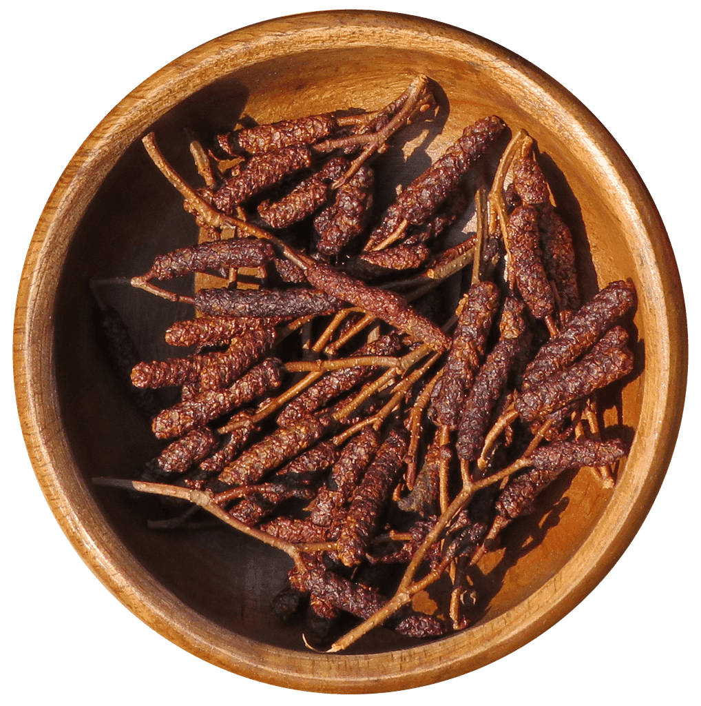 AULNE RUGUEUX